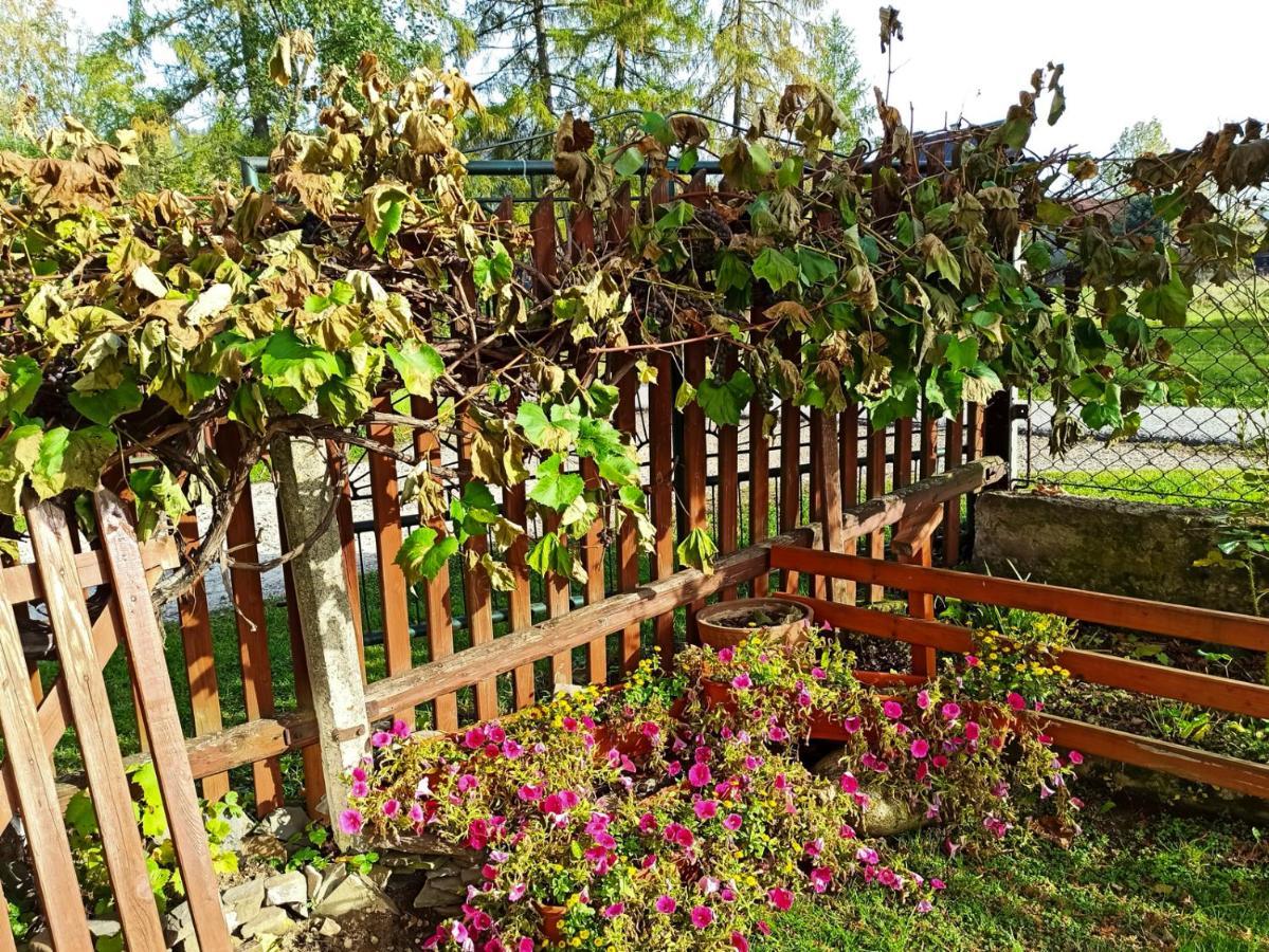 Pokoje Goscinne Duda Bialka Tatrzanska Exterior foto